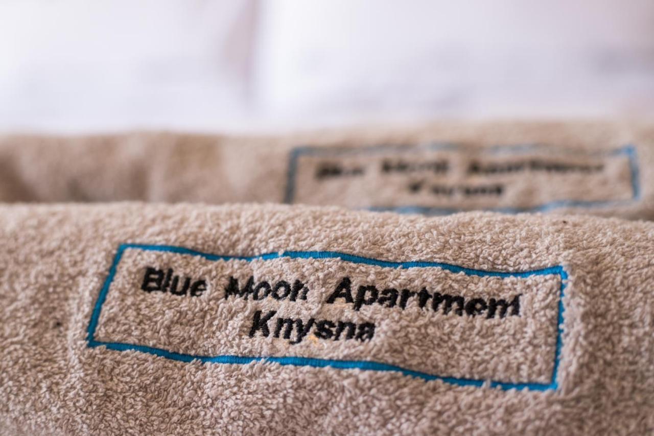 Blue Moon Apartments クニスナ エクステリア 写真